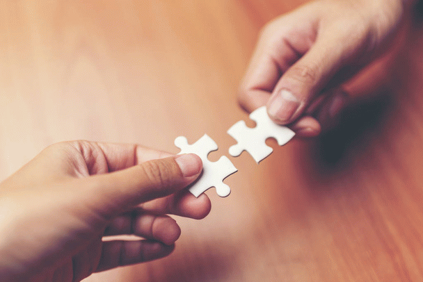 16 نکته کلیدی که قبل از خرید از پت شاپ باید بدانید (و معرفی بهترین پت شاپ آنلاین 1398)