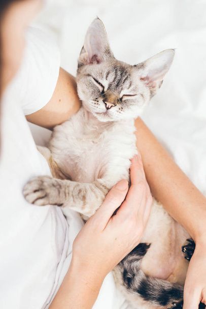 نگهداری از گربه در خانه - تربیت گربه خانگی - بهداشت گربه - نکات مراقبت از گربه - غذای گربه