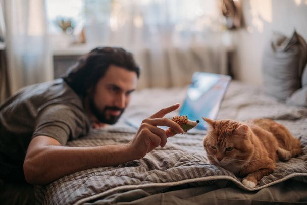 نگهداری از گربه در خانه - تربیت گربه خانگی - بهداشت گربه - نکات مراقبت از گربه - غذای گربه