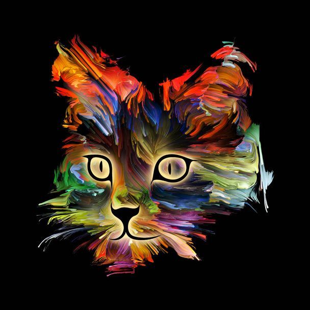 نگهداری از گربه در خانه - تربیت گربه خانگی - بهداشت گربه - نکات مراقبت از گربه - غذای گربه