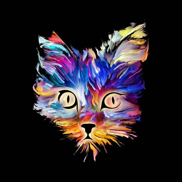 نگهداری از گربه در خانه - تربیت گربه خانگی - بهداشت گربه - نکات مراقبت از گربه - غذای گربه