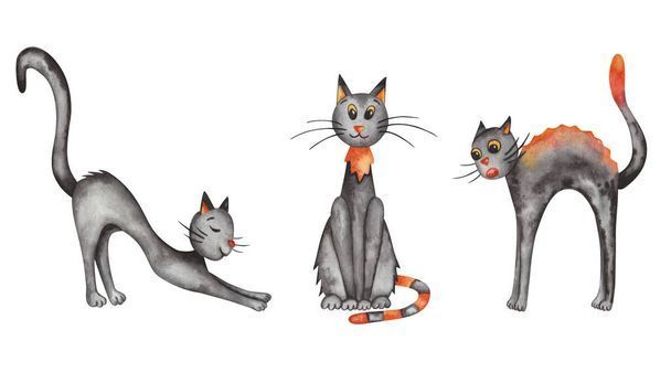 نگهداری از گربه در خانه - تربیت گربه خانگی - بهداشت گربه - نکات مراقبت از گربه - غذای گربه