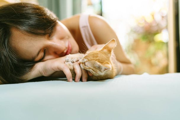 نگهداری از گربه در خانه - تربیت گربه خانگی - بهداشت گربه - نکات مراقبت از گربه - غذای گربه