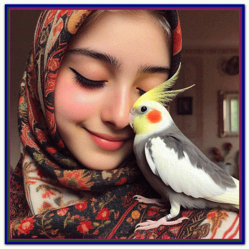 نگهداری و مراقبت از عروس هلندی