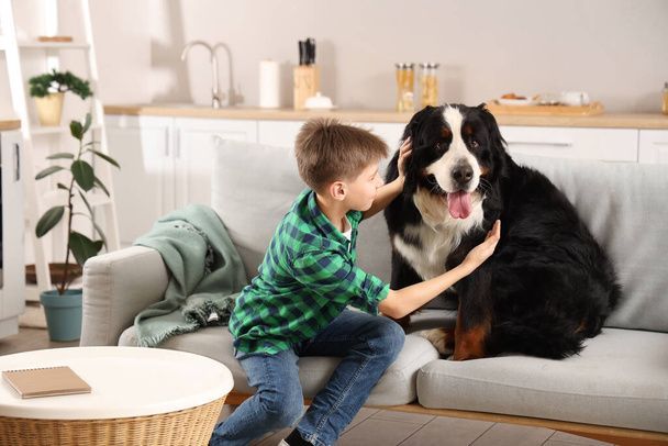 نگهداری سگ در خانه - تربیت سگ - نکات مراقبت از سگ - غذای سگ