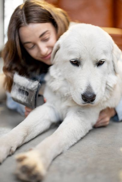 نگهداری سگ در خانه - تربیت سگ - نکات مراقبت از سگ - غذای سگ