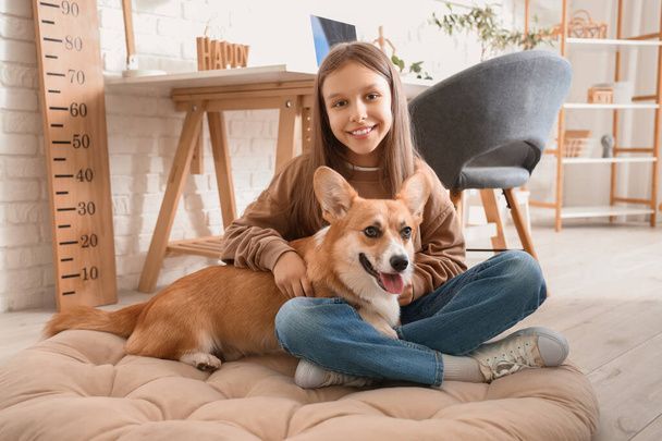 نگهداری سگ در خانه - تربیت سگ - نکات مراقبت از سگ - غذای سگ